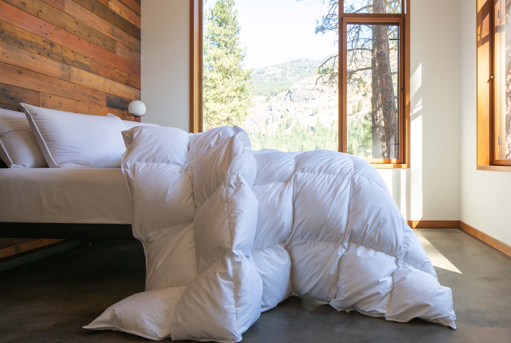 Down Comforters