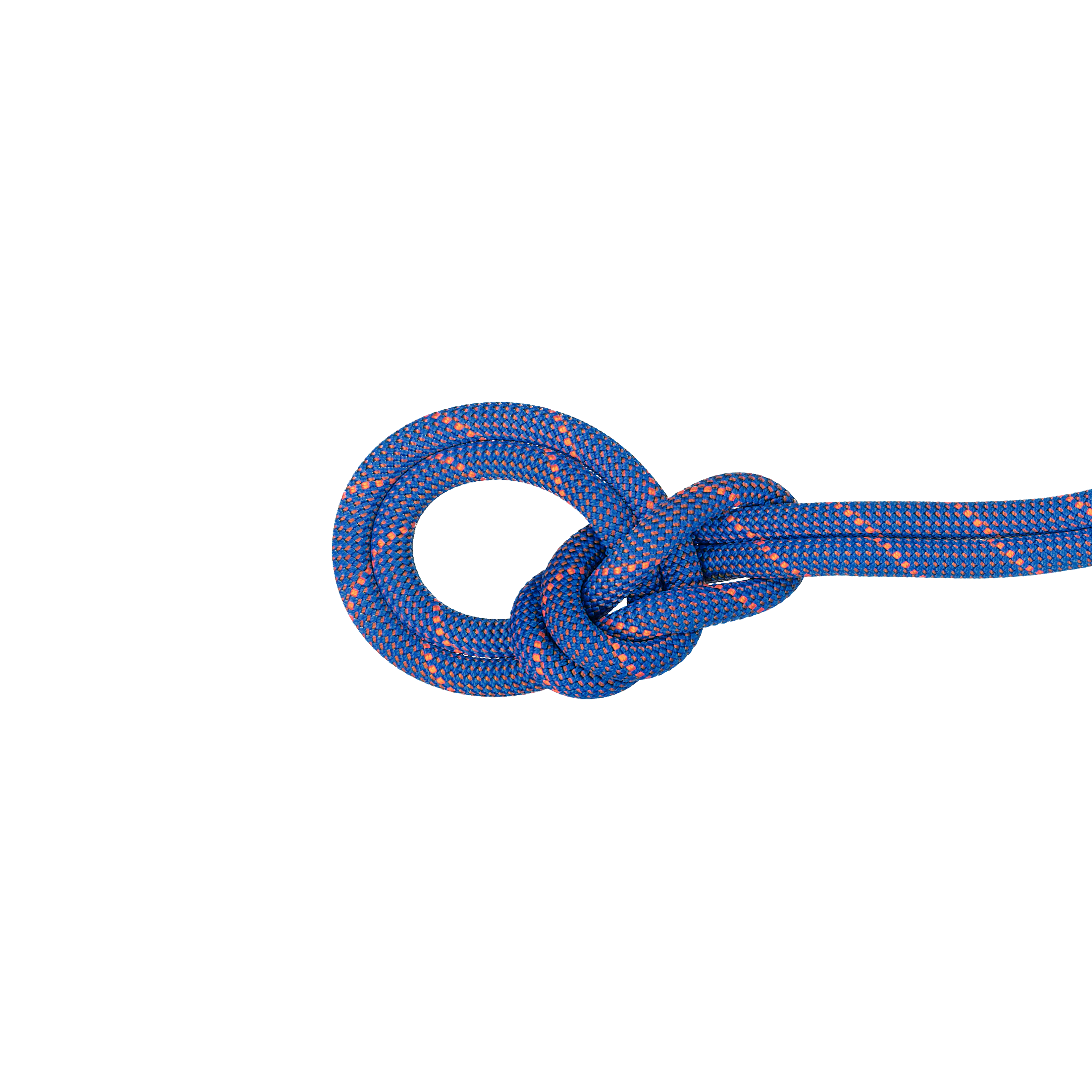 Mammut-9.0 Crag Sender Dry Rope-Climbing Ropes-