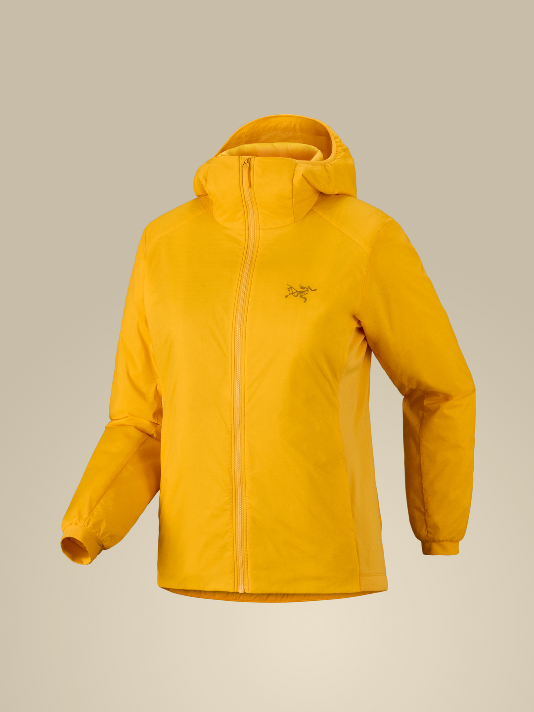 Atom Hoody Women's-Arc'teryx-X-Small-Larch-Clothing-Feathered Friends