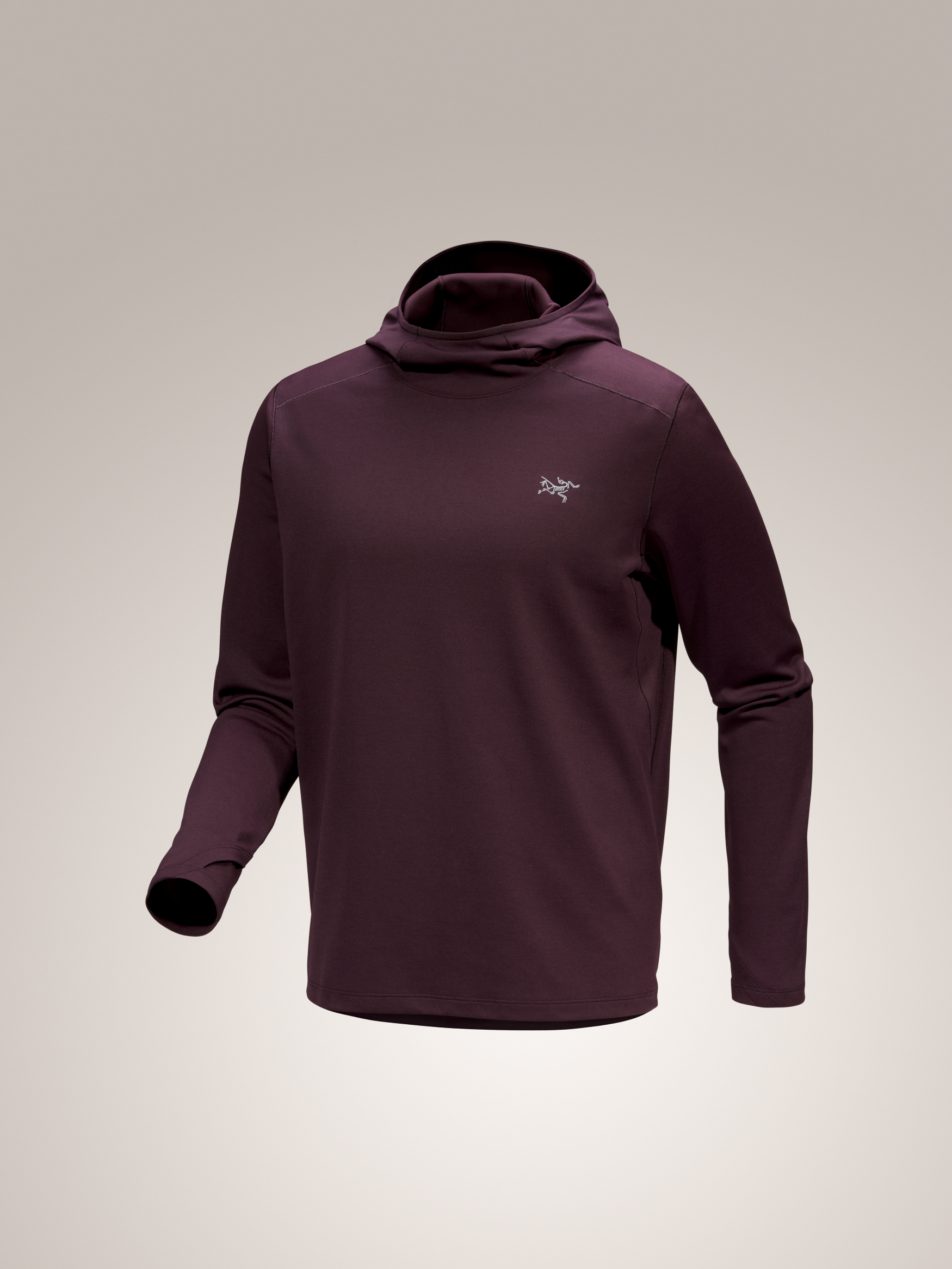 Studio image Arc'teryx Men's Cormac Heavyweight Hoody Phantasm color
