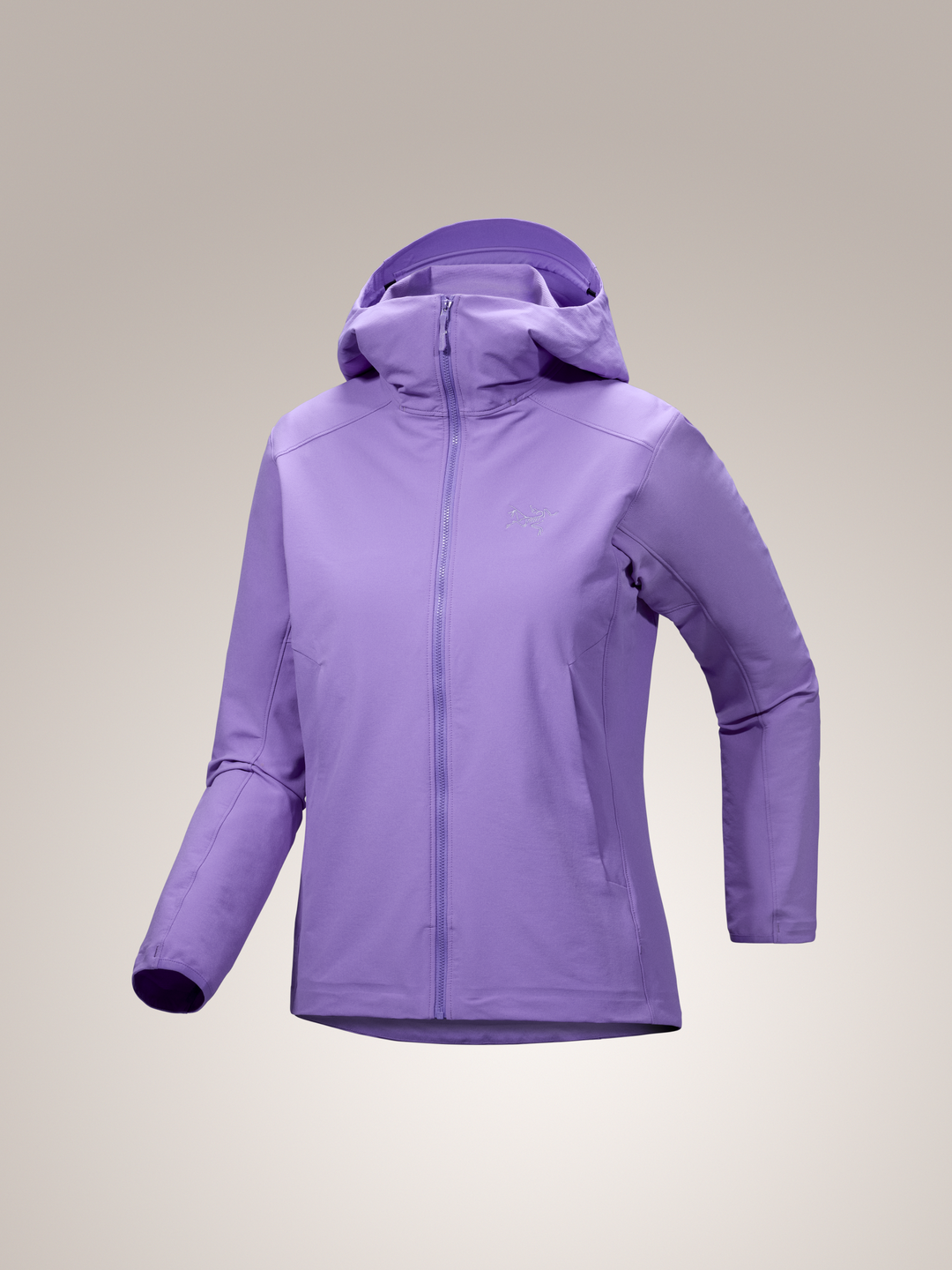 Arc'teryx-Gamma Hoody Women's F25-X-Small-Aster-Clothing