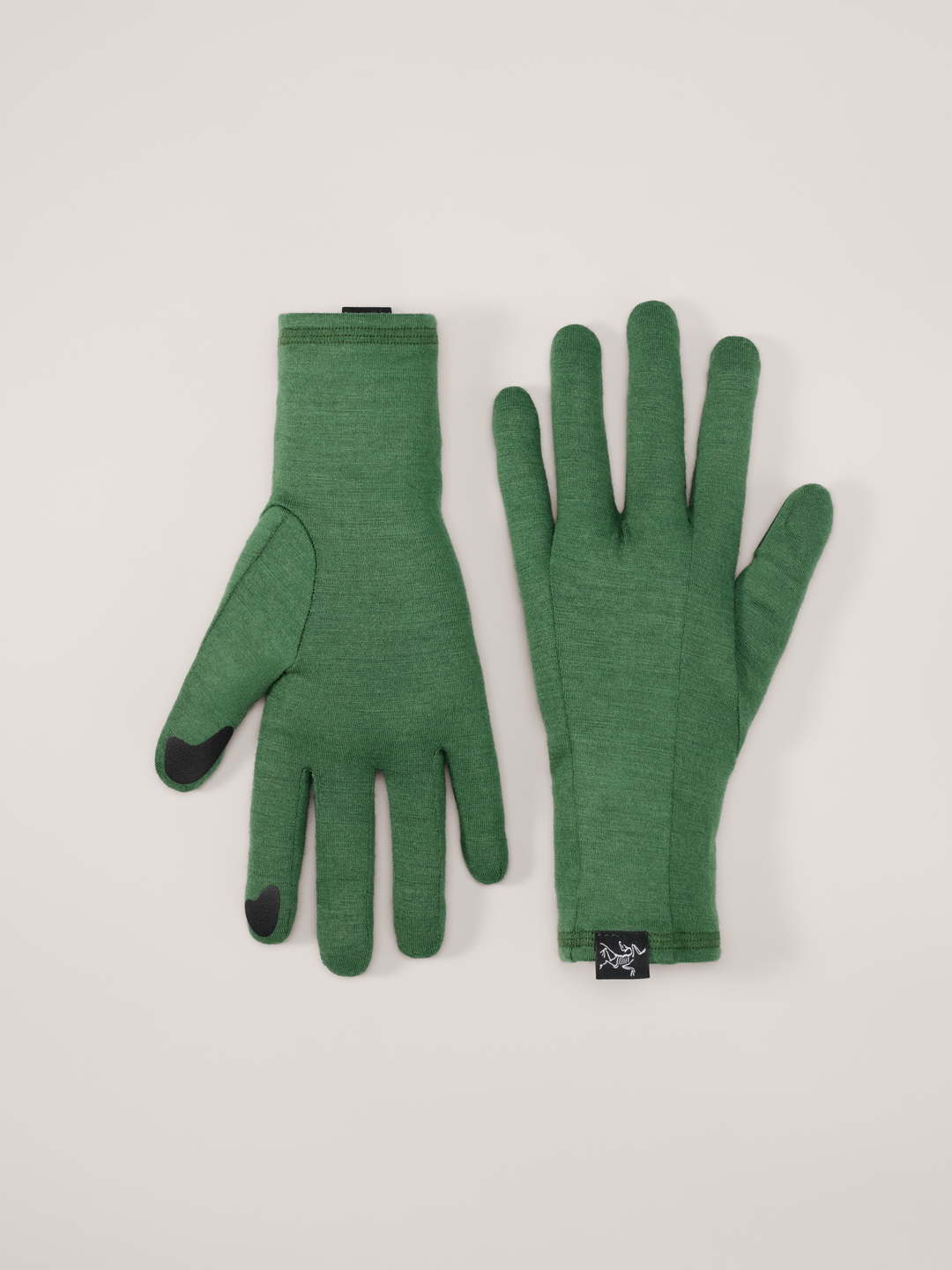 Arc'teryx-Gothic Glove-Clothing-X-Small-Eden-