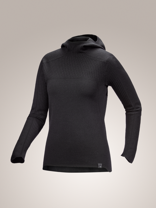 Arc'teryx-Hallam Merino Wool Hoody Women's-X-Small-Black-Clothing