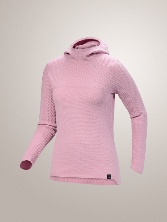 Arc'teryx-Hallam Merino Wool Hoody Women's-X-Small-Bliss-Clothing