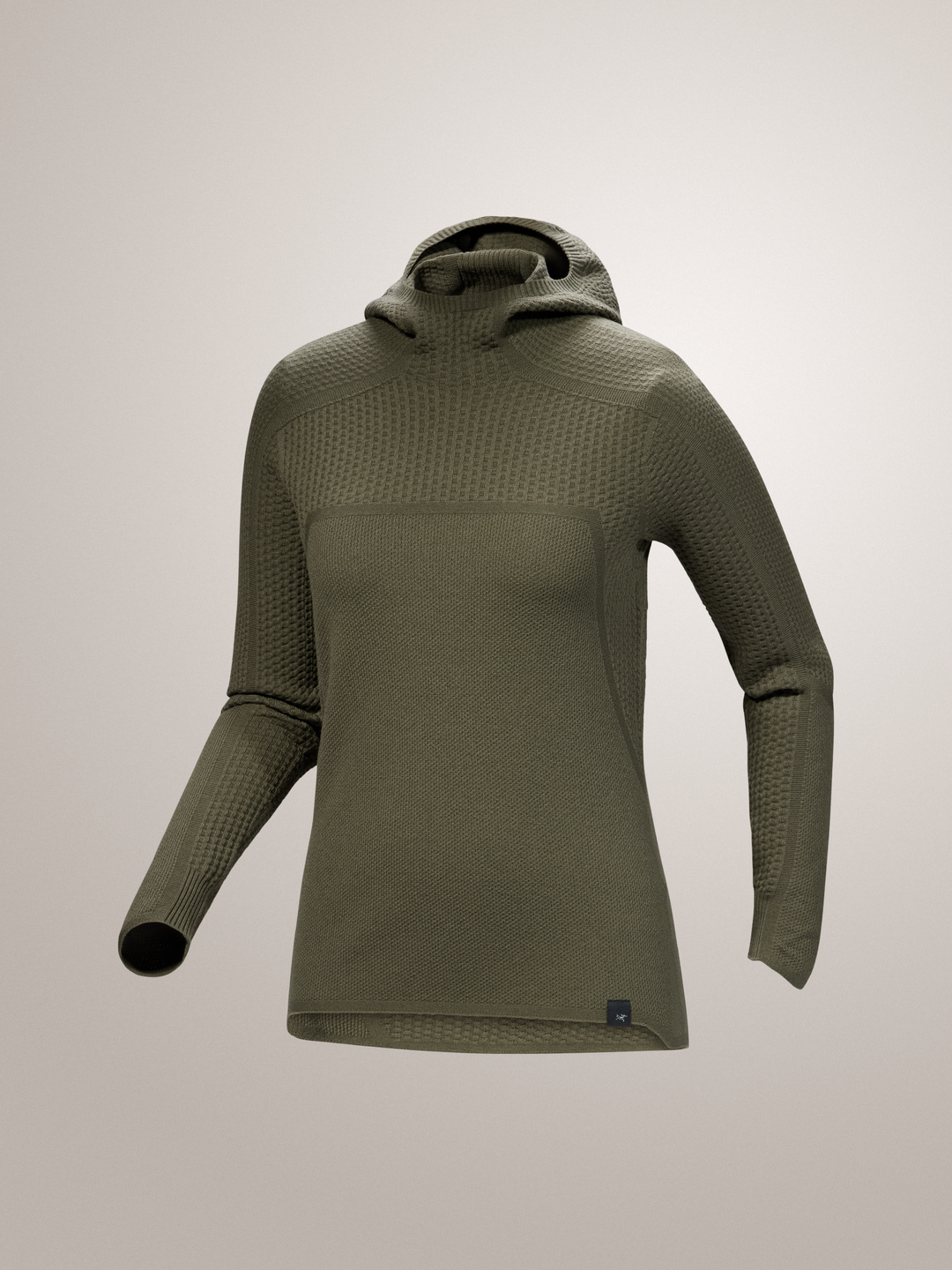 Arc'teryx-Hallam Merino Wool Hoody Women's-X-Small-Tatsu-Clothing