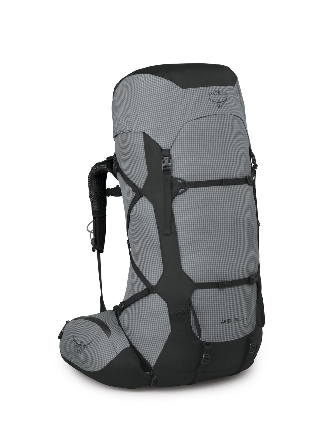 Osprey-Aether Pro 75-Backpacking Packs-L/XL-Silver Lining