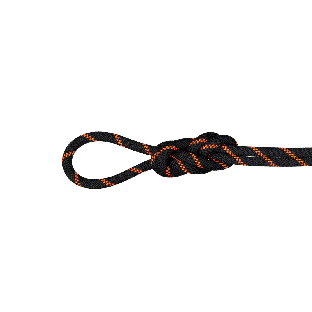 Mammut-8.7 Alpine Sender Dry Rope-Climbing Ropes-