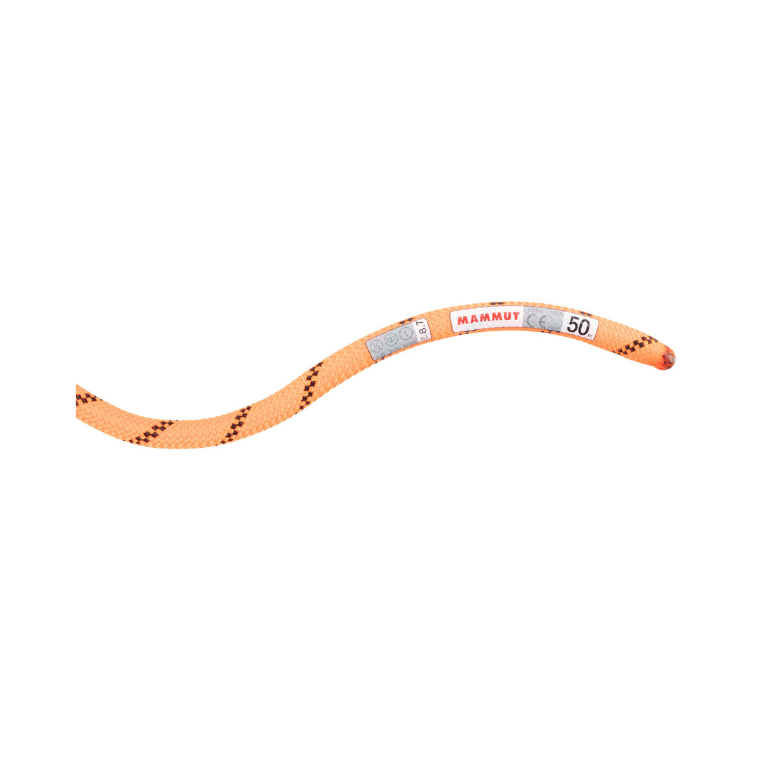 Mammut-8.7 Alpine Sender Dry Rope-Climbing Ropes-