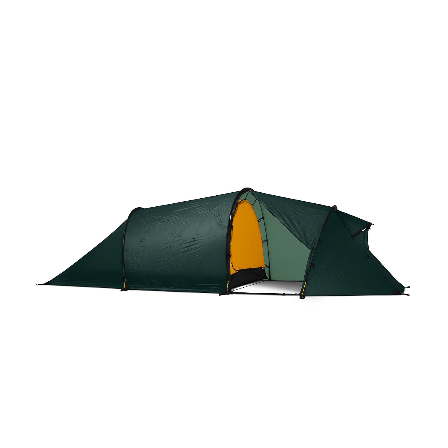 Hilleberg-Nallo 4 GT Tent-Backpacking Tent-Green-