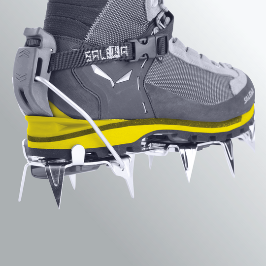 Salewa-Crow GTX Men's-Footwear-
