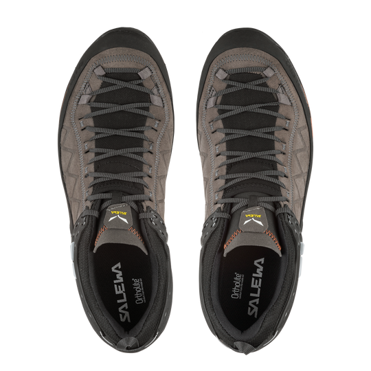 Salewa-Mountain Trainer 2 Walnut-Footwear-